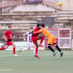 29, il pareggio di Alegria: pallonetto sulluscita di Pellegrino